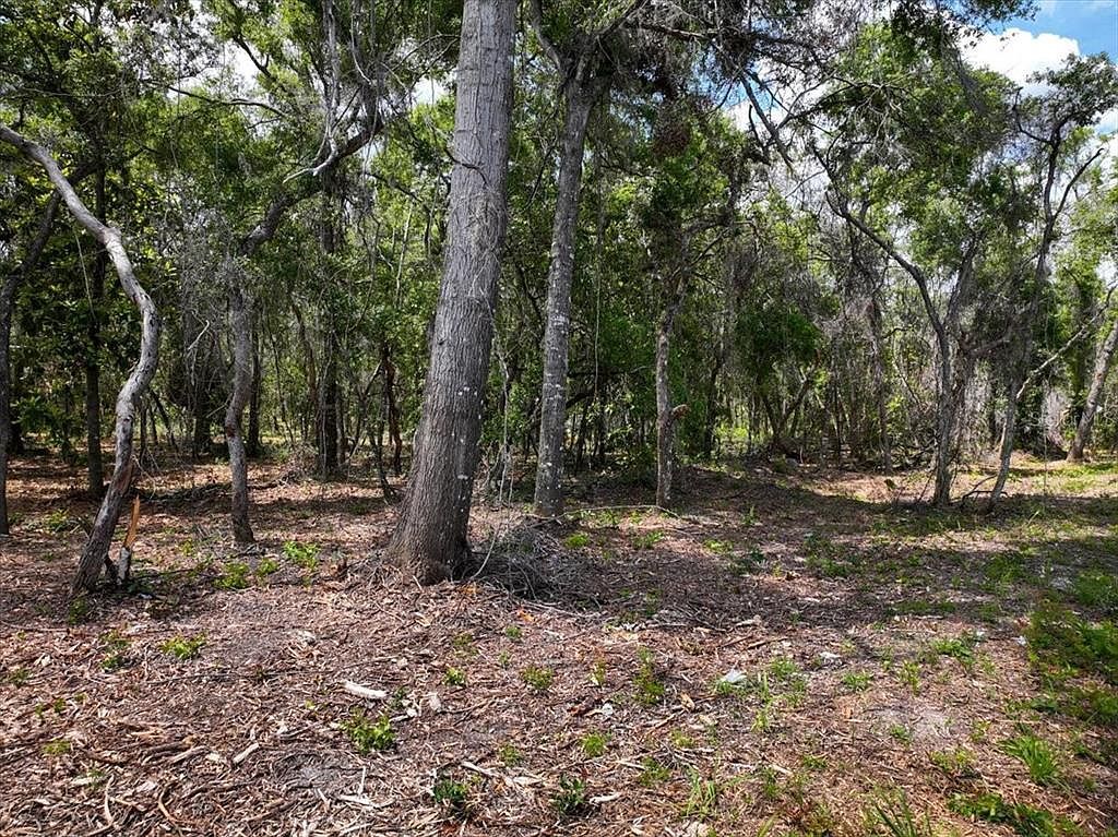 0 NE 390th St LOT 22 Old Town, FL 32680 - Thumbnail 3