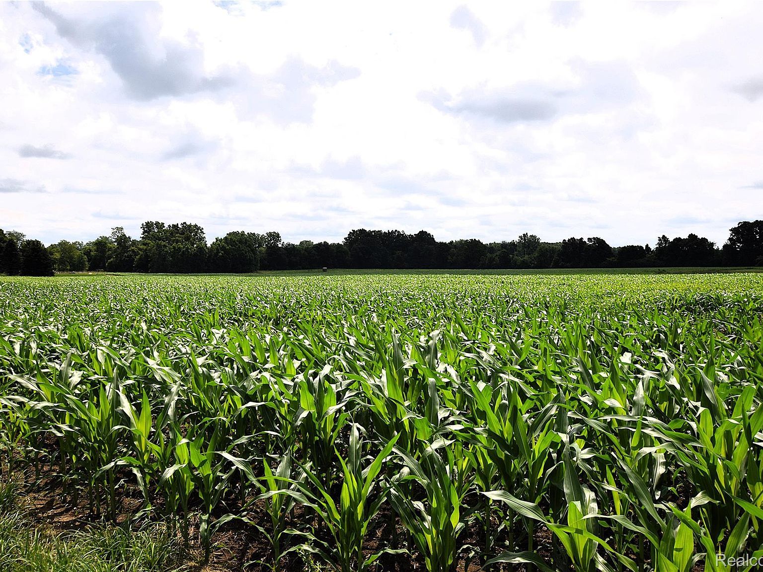 V/l N Irish Rd Otisville, MI 48463 - Thumbnail 3