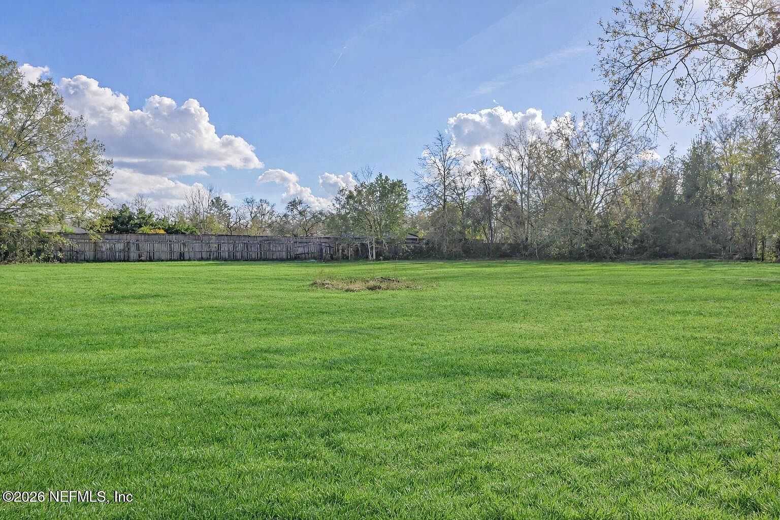 1761 Treeland Ave Middleburg, FL 32068 - Thumbnail 3