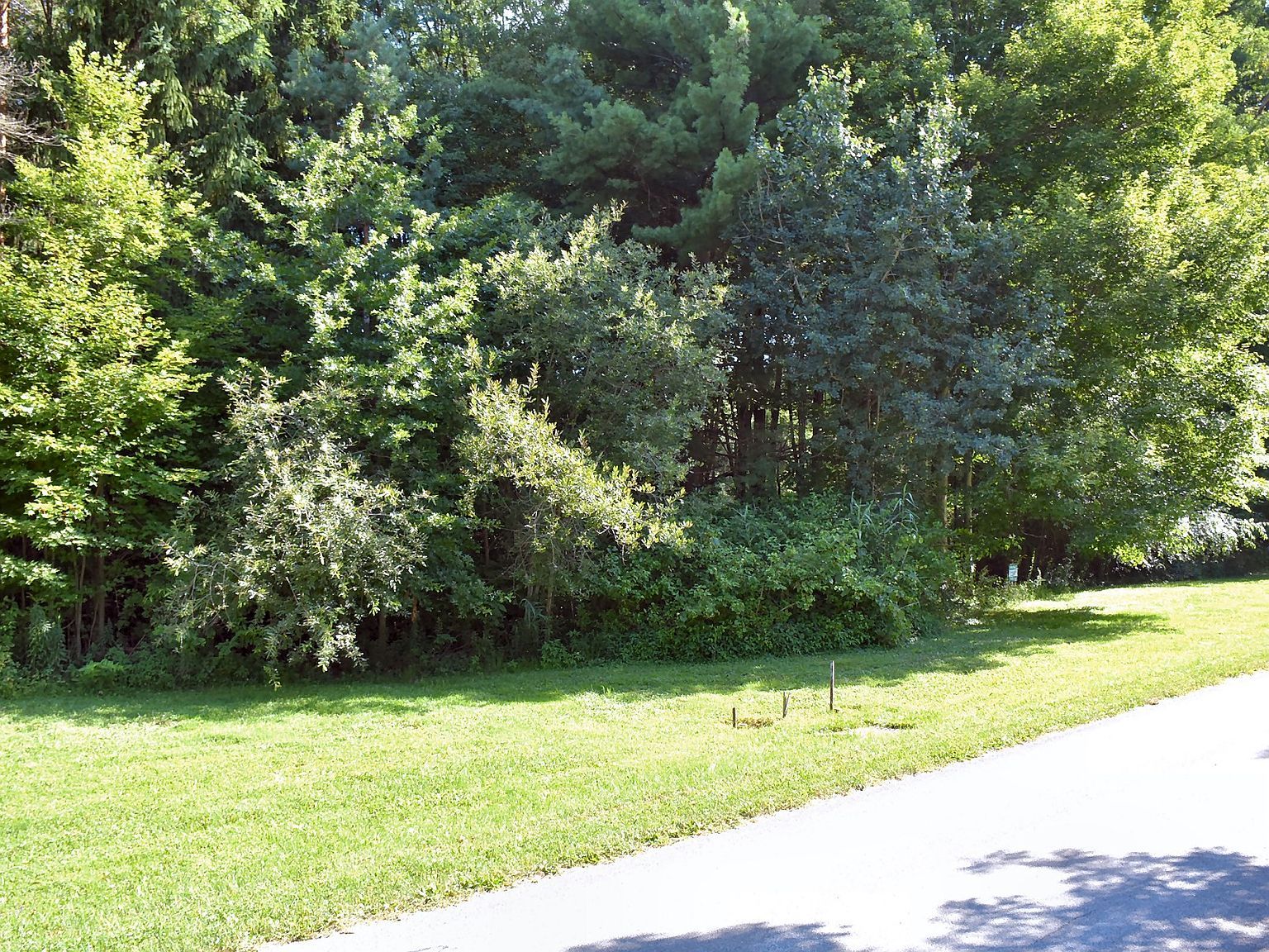 12390 Dogwood Ln Conneaut Lake, PA 16316 - Thumbnail 3