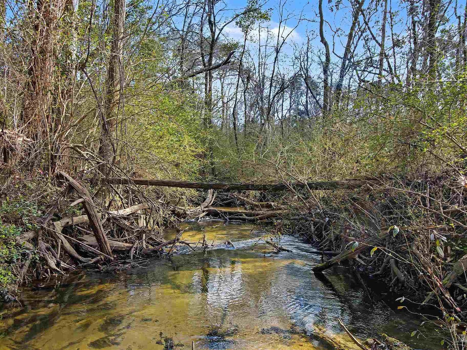 10736 S County Road 83 Elberta, AL 36530 - Thumbnail 3