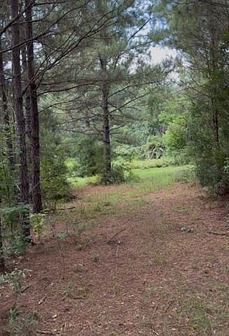 Dillon Rd Kentwood, LA 70444 - Thumbnail 3