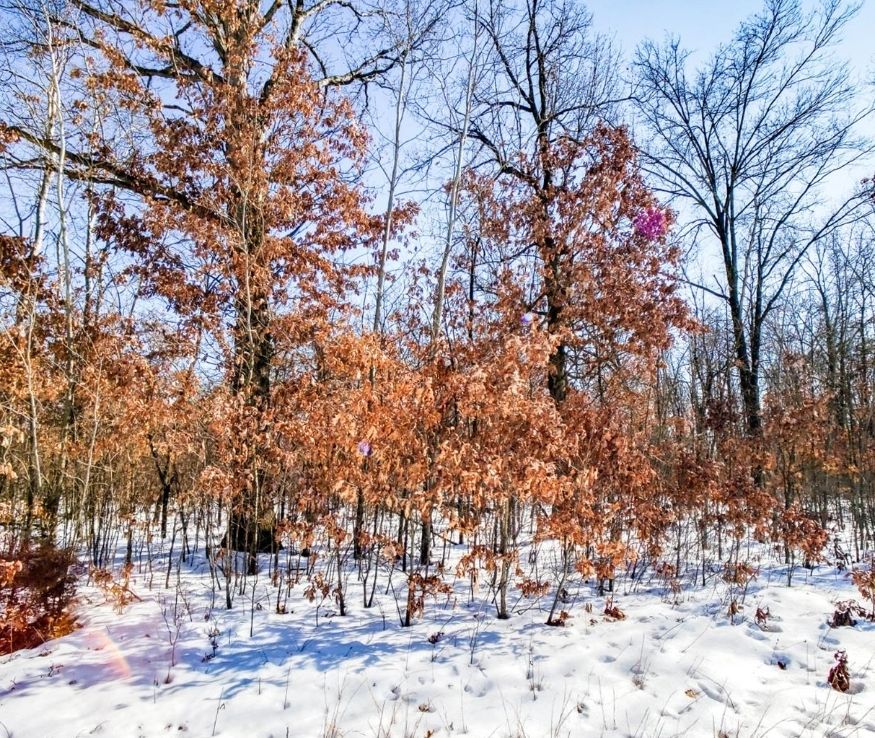 3034 Kelly Jo Court, Wheatfield, IN, USA, 46392 - Thumbnail 3