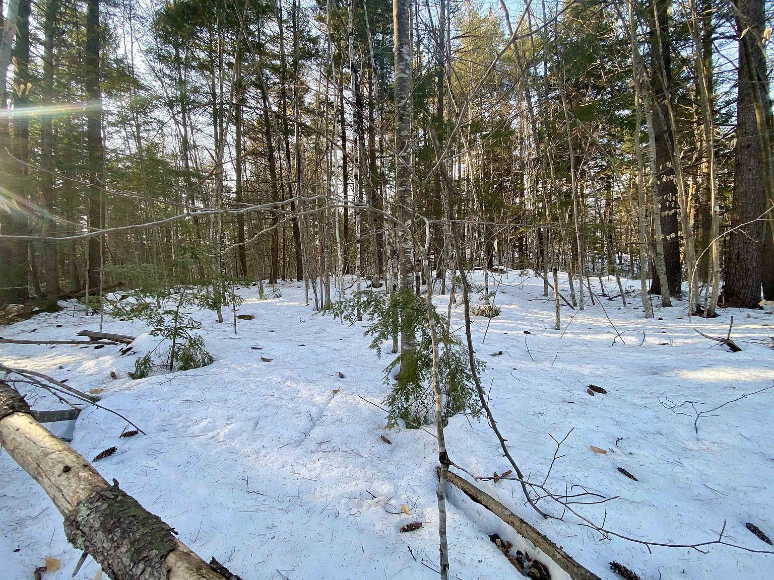 65 Ossipee Mountain Rd Center Ossipee, NH 03814 - Thumbnail 3