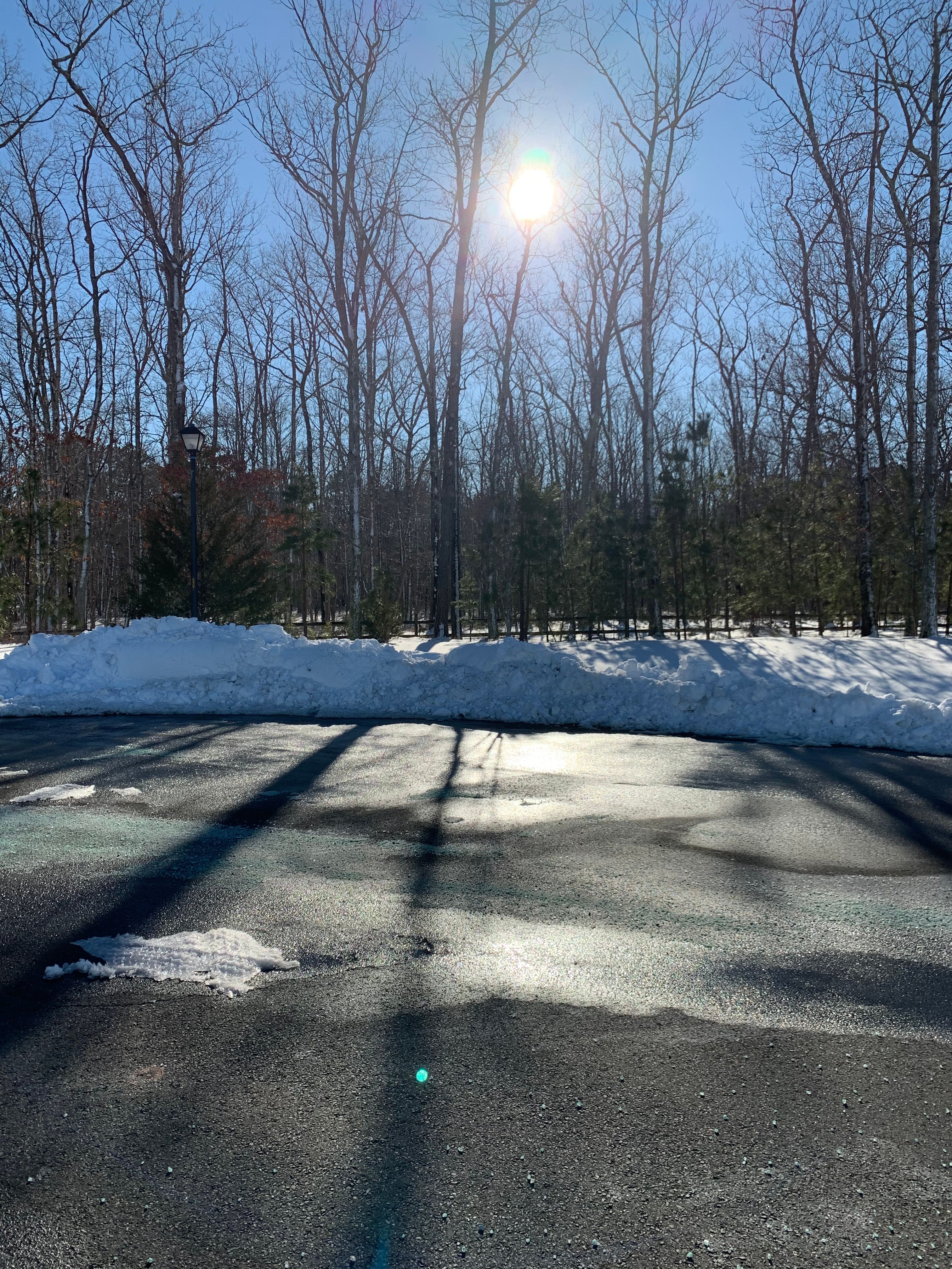 4 Holly Tree Ct, Jackson Township, NJ, USA, 8527 - Thumbnail 3