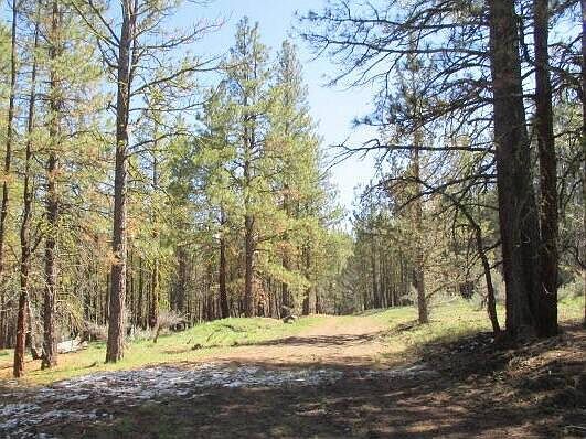 Partin Dr #2-3 Beatty, OR 97621 - Thumbnail 3