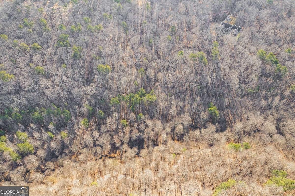 3895 Chapel Hill Farms Ct Douglasville, GA 30135 - Thumbnail 3