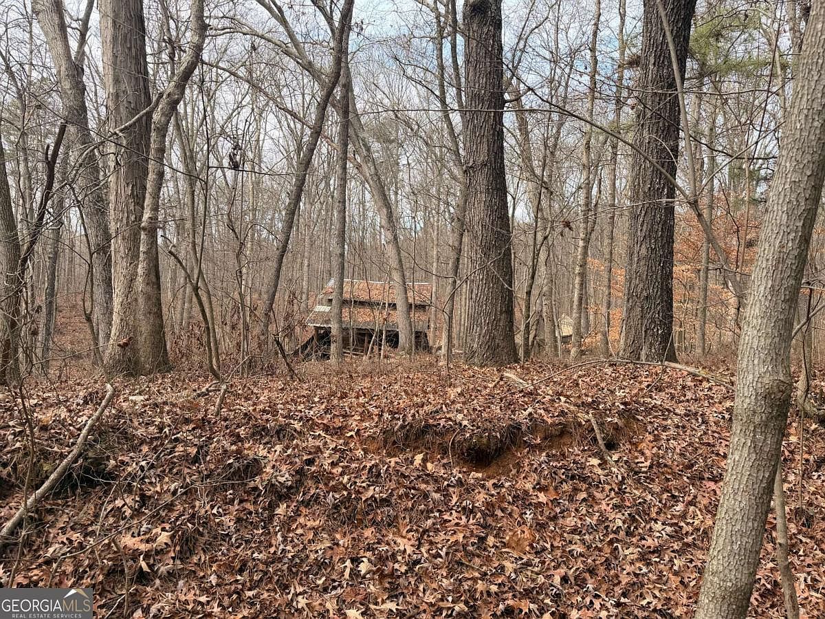 1830 Highway 27 North Byp Bremen, GA 30110 - Thumbnail 3