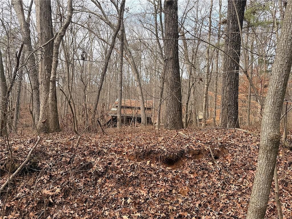 1830 Highway 27 N #N Bremen, GA 30110 - Thumbnail 3