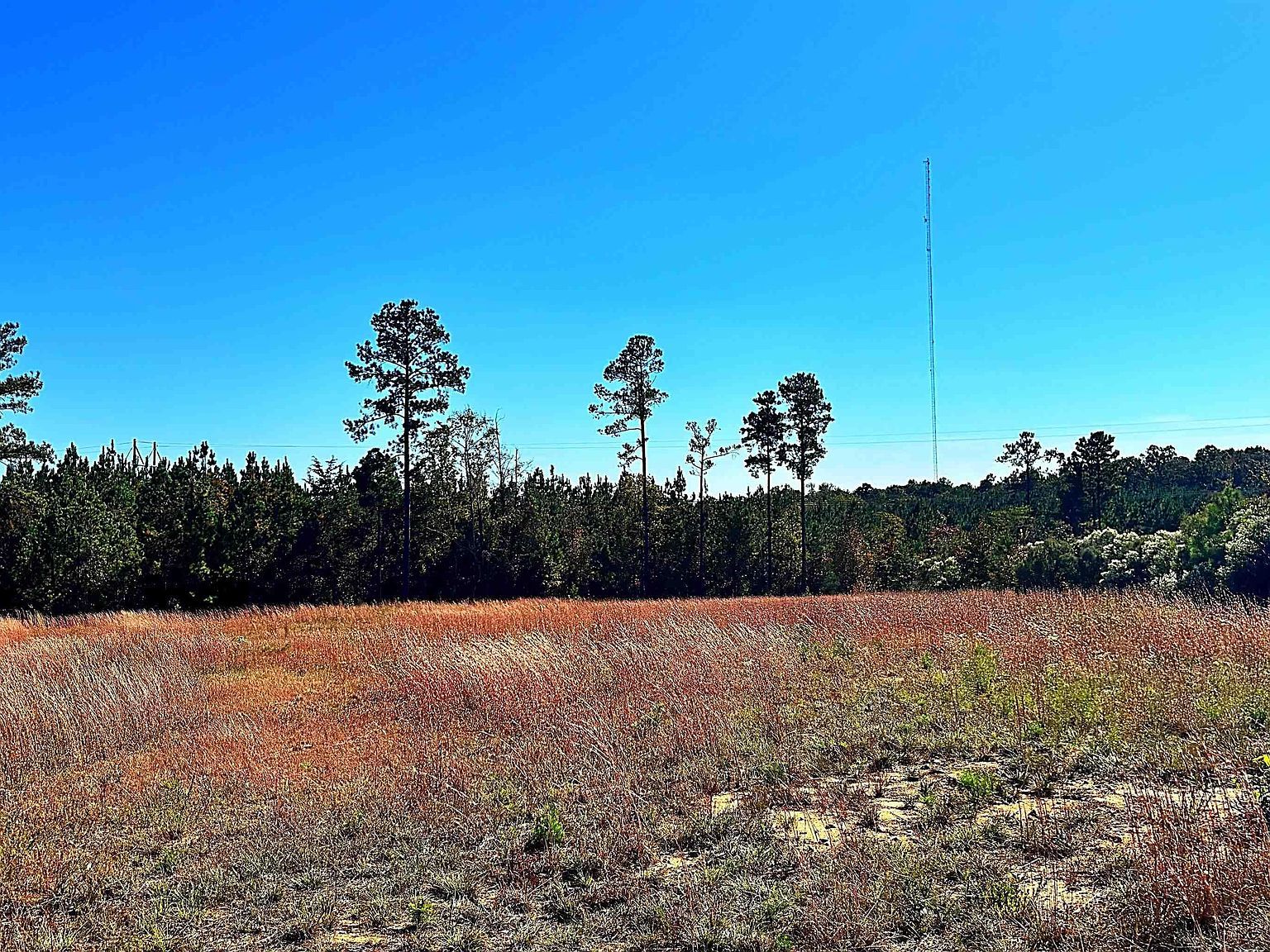 0 Riverfork Rd Waterloo, SC 29384 - Thumbnail 3