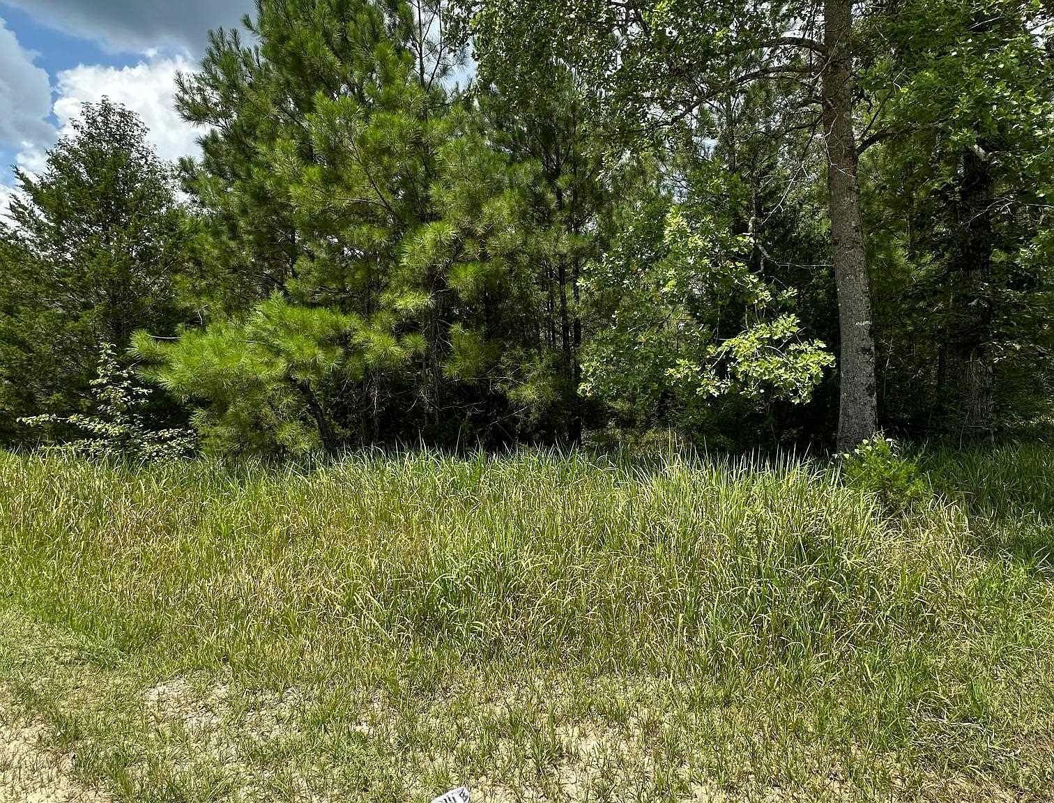 10385 Army Road Ext S Chunchula, AL 36521  | Land/Lot