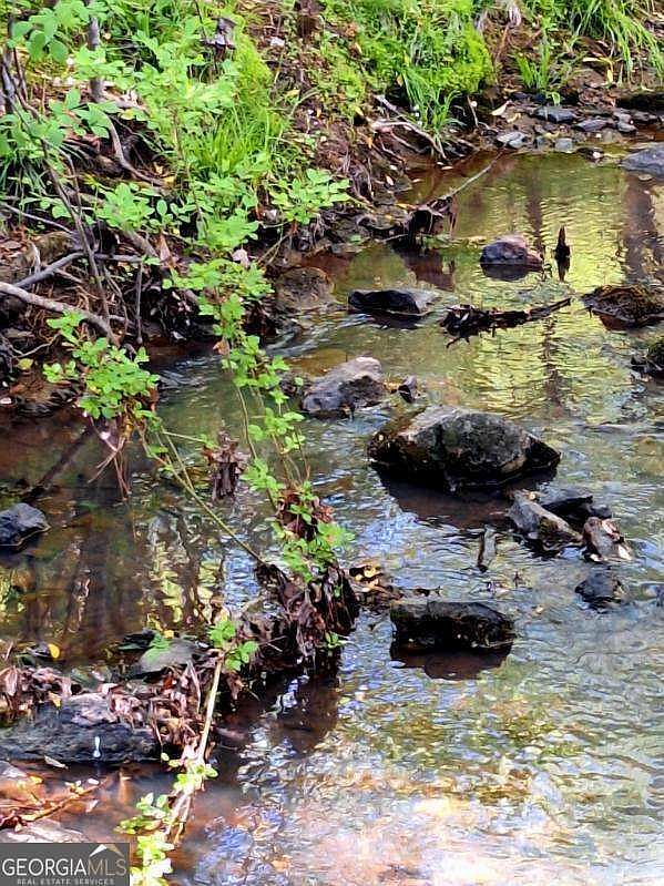 0 Middleton Church Rd Elberton, GA 30635 - Thumbnail 3