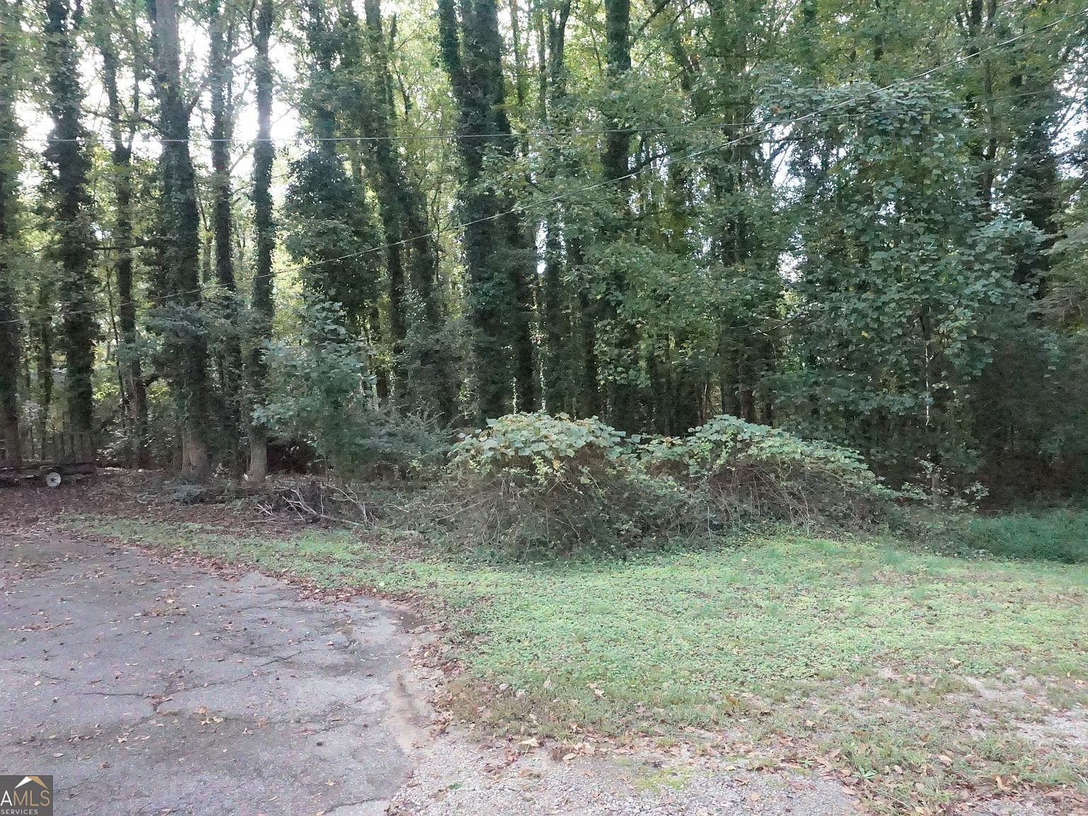 6 Pine Valley Dr Royston, GA 30662 - Thumbnail 3