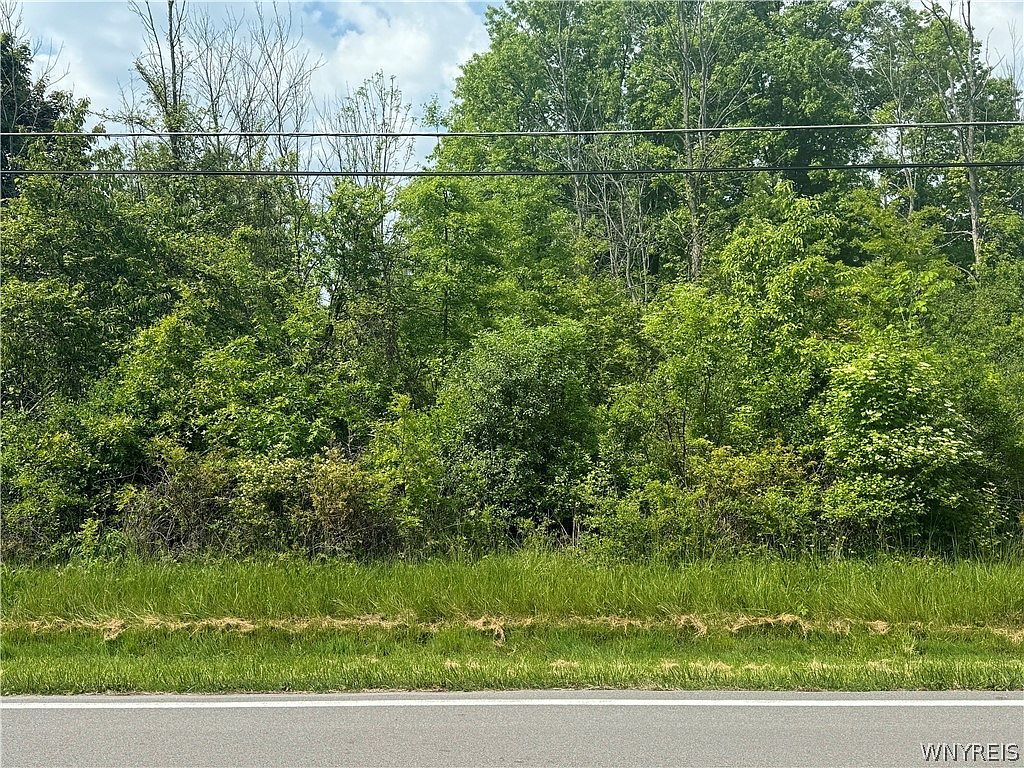 Cain Rd #29 Youngstown, NY 14174 - Thumbnail 3