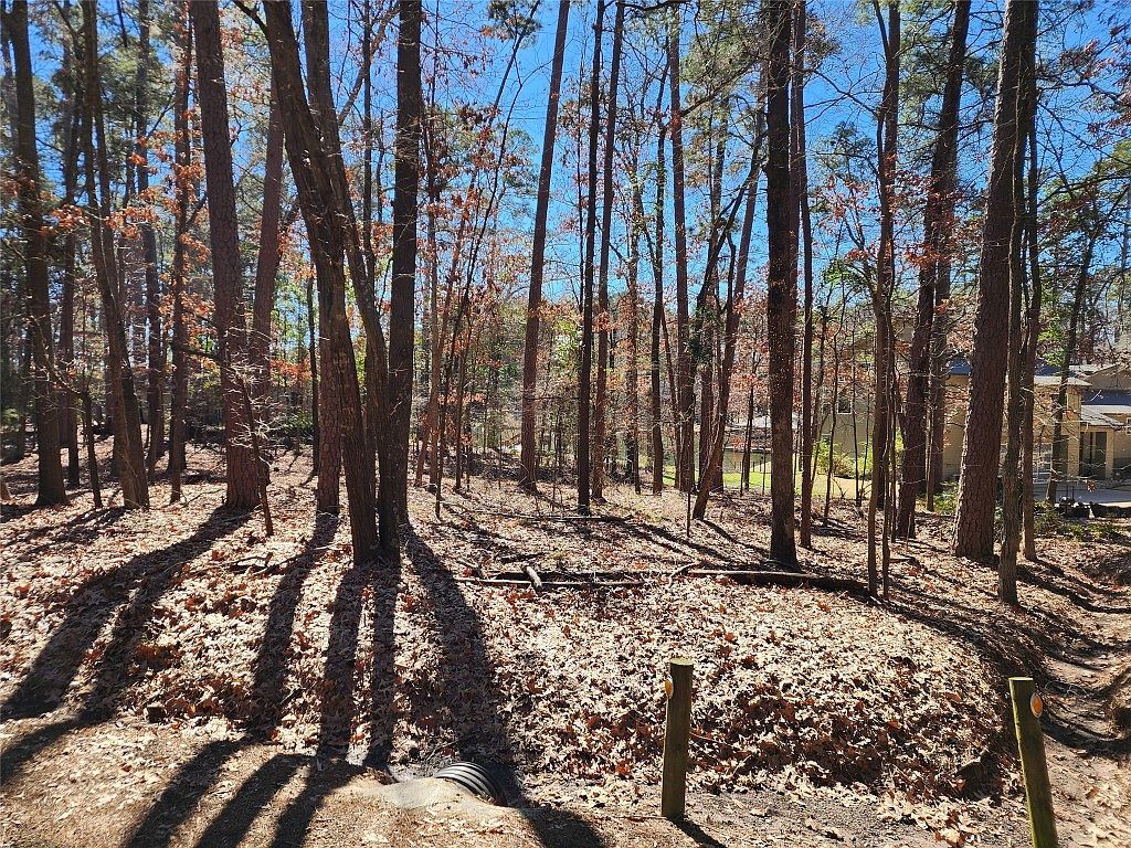 Whipporwill Ln Mount Vernon, TX 75457 - Thumbnail 3