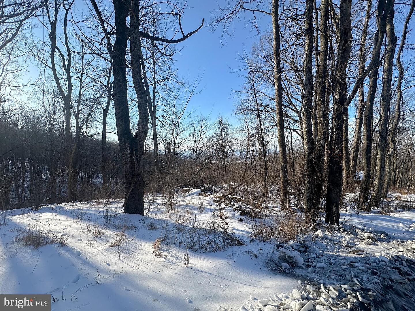 LOT 71 High Top Rd Linden, VA 22642 - Thumbnail 3