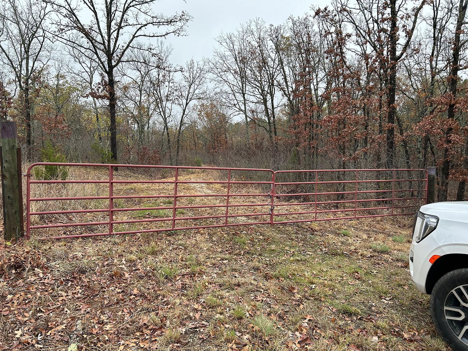 0 N State Highway 125 Bradleyville, MO 65614 - Thumbnail 3