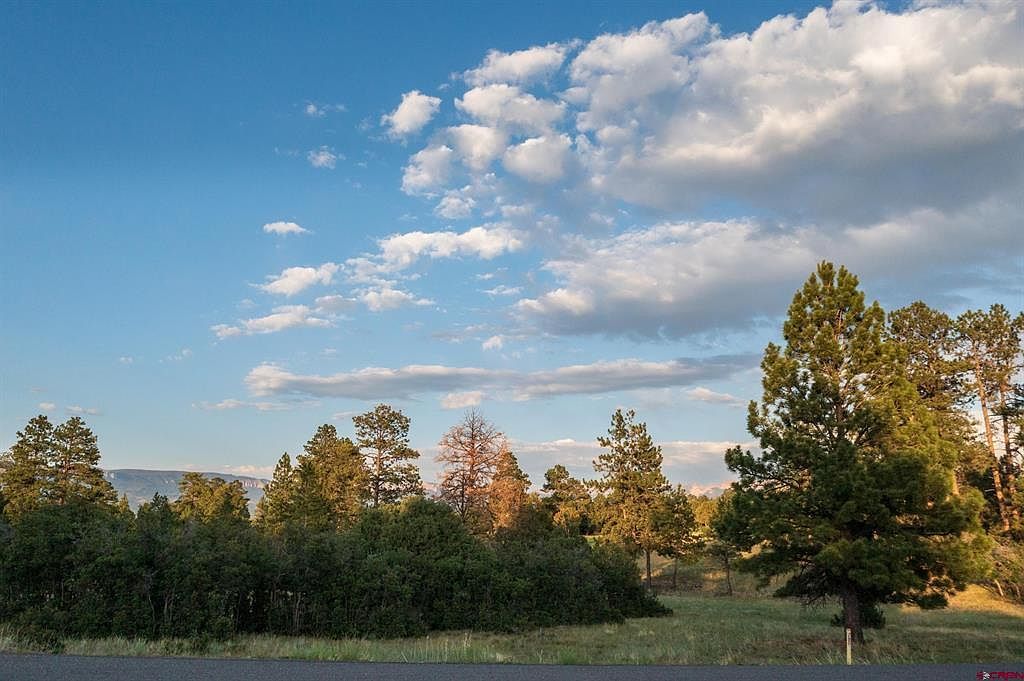 1456 Marmot Dr Ridgway, CO 81432 - Thumbnail 3