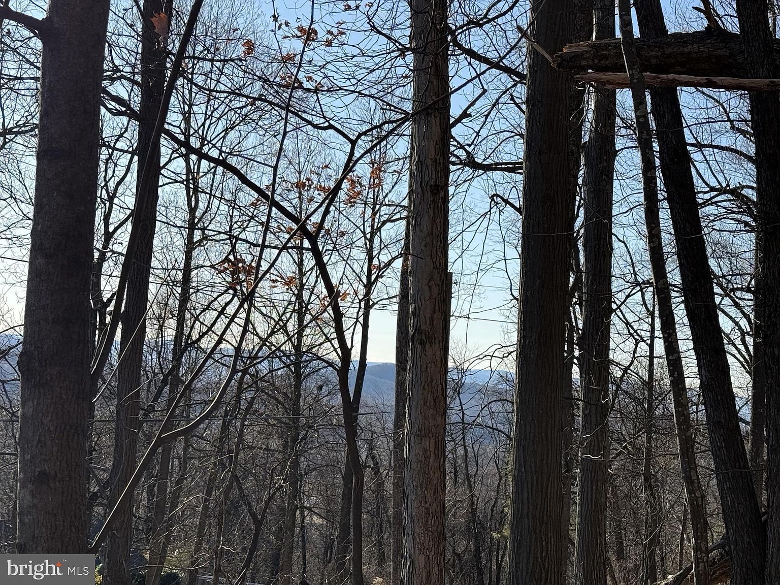 36 Jonathan Rd Linden, VA 22642 - Thumbnail 3