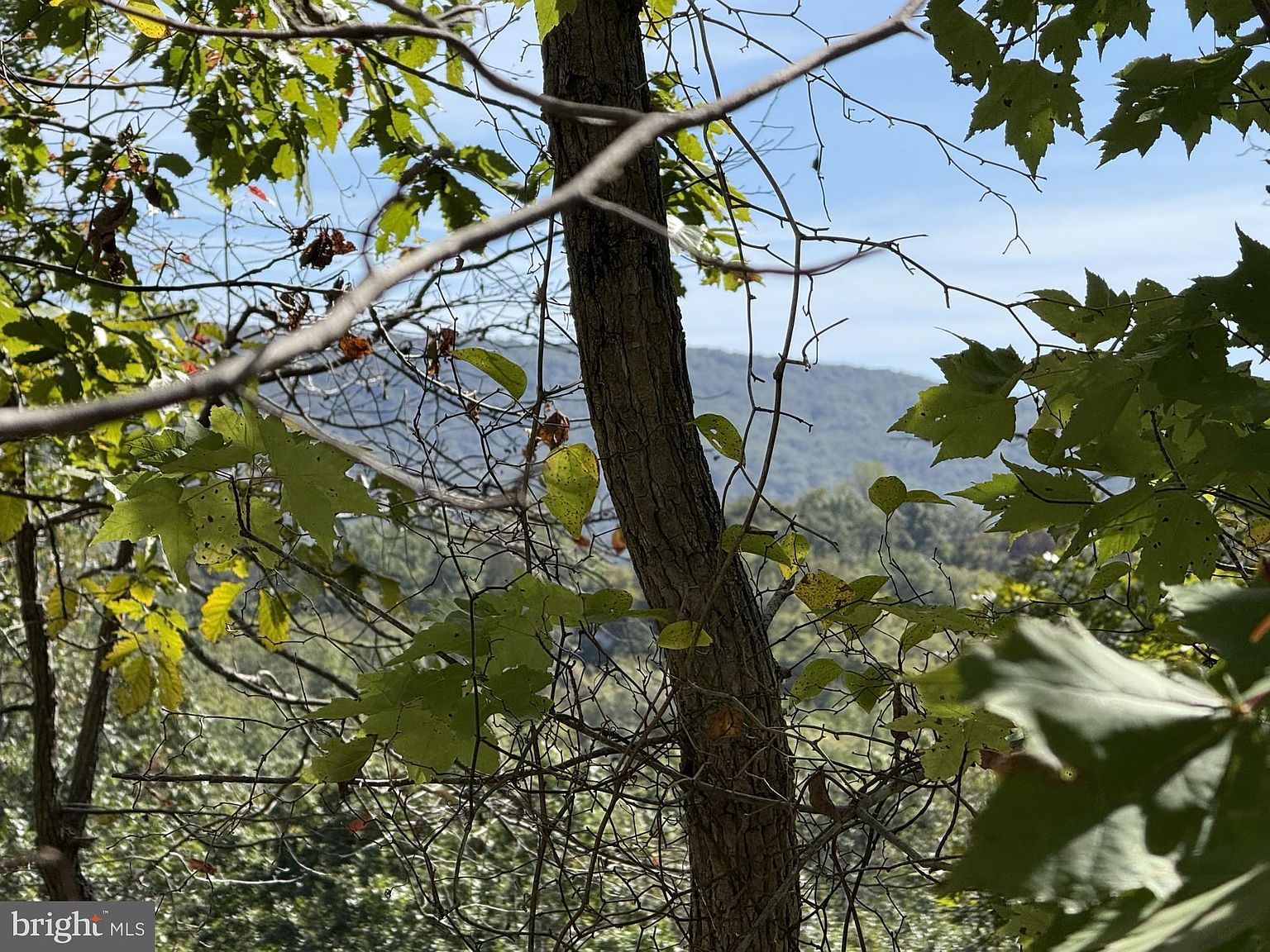 59 Old Oregon Rd Front Royal, VA 22630 - Thumbnail 3