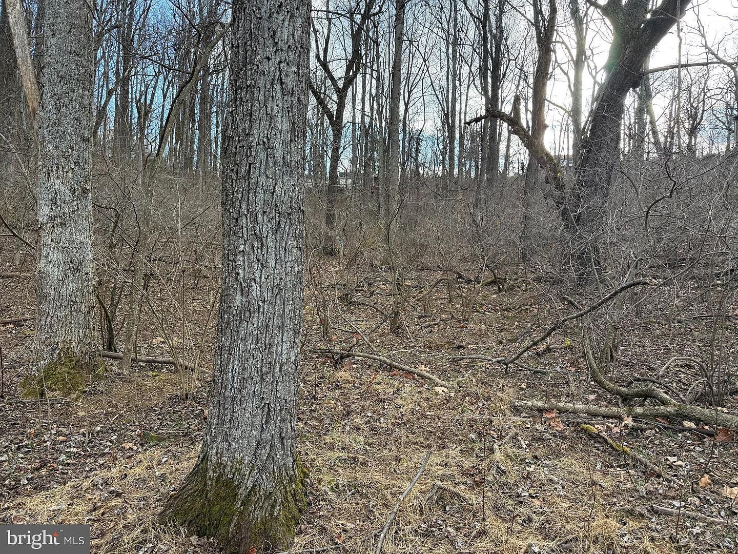 83A Oriole Ct Front Royal, VA 22630 - Thumbnail 3