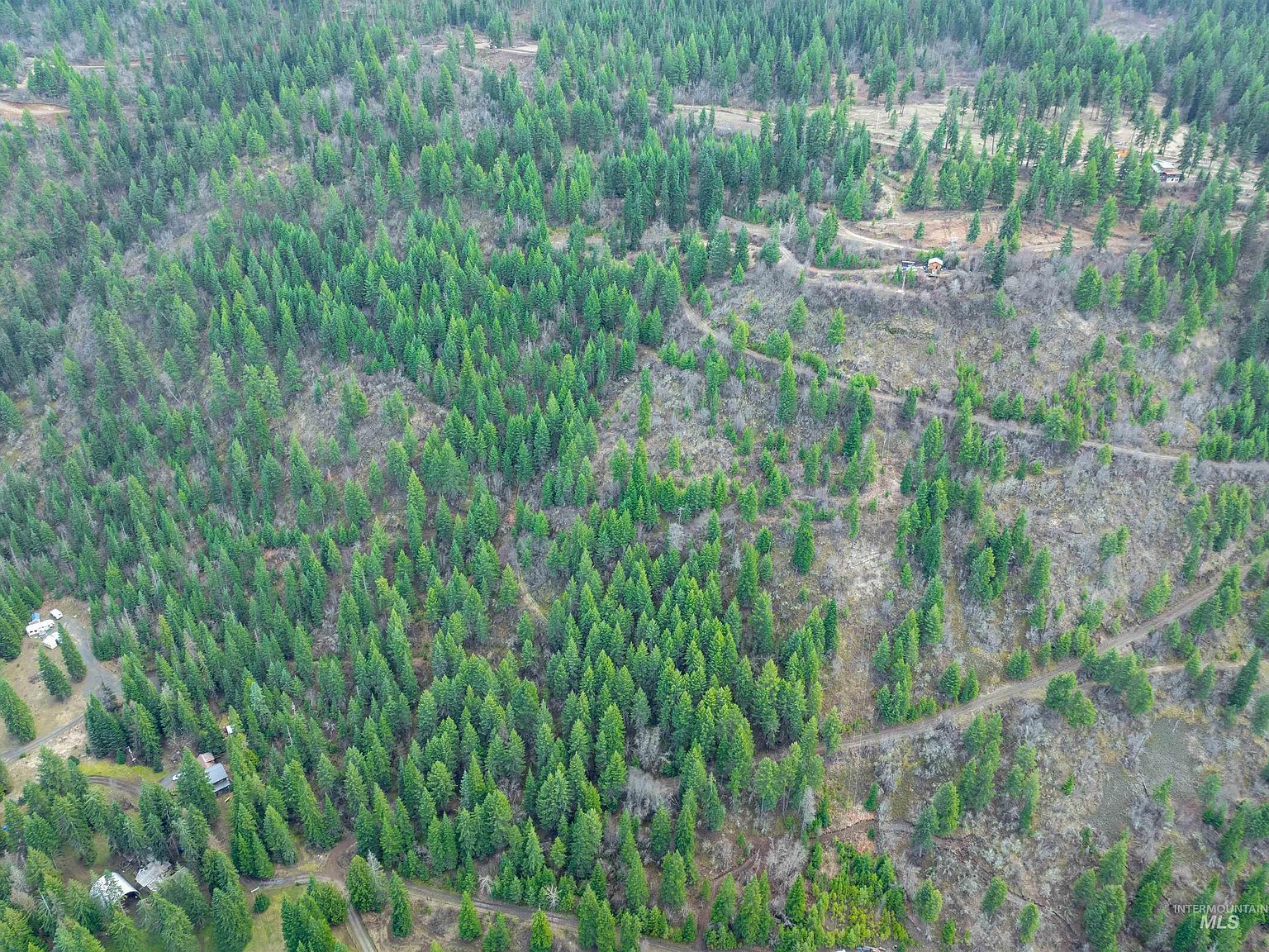 751 Wilderness Dr Orofino, ID 83544 - Thumbnail 3