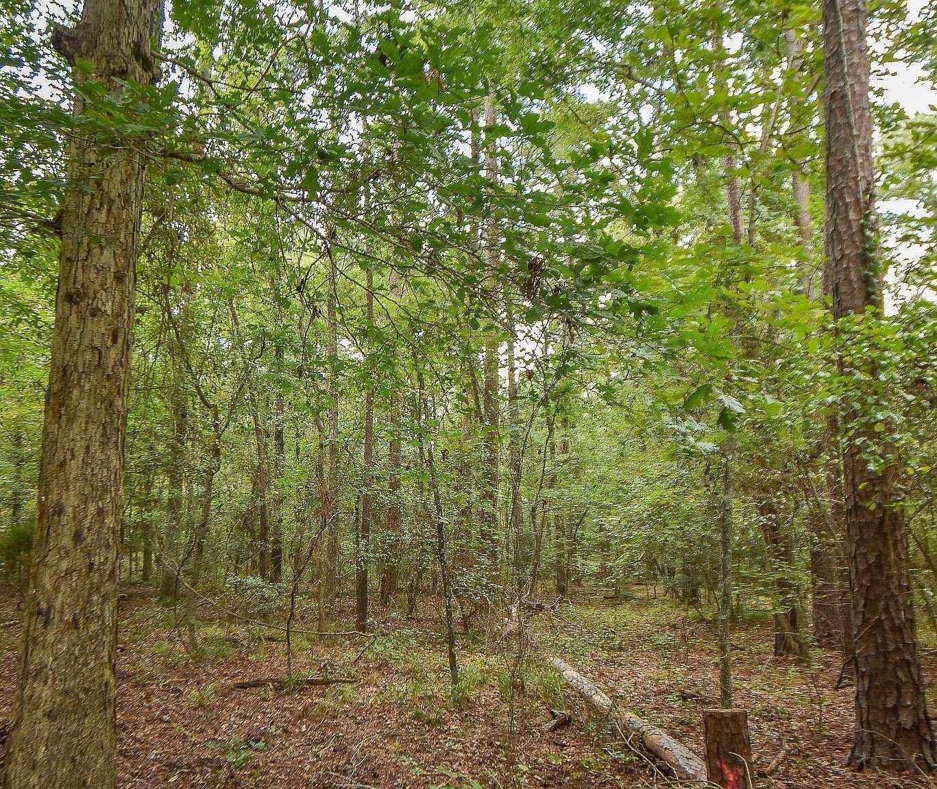 County Road 2337 LOT 4 Tyler, TX 75707 - Thumbnail 3