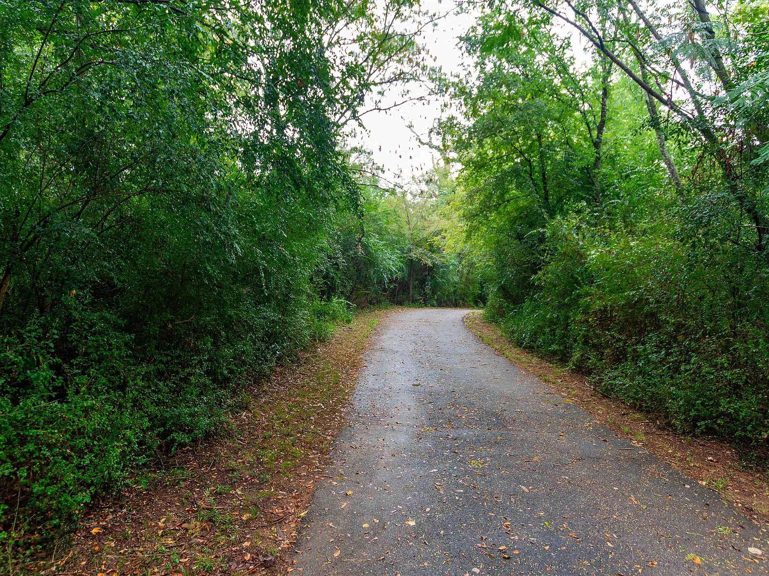 19899 Southside Cir Winona, TX 75792 - Thumbnail 3