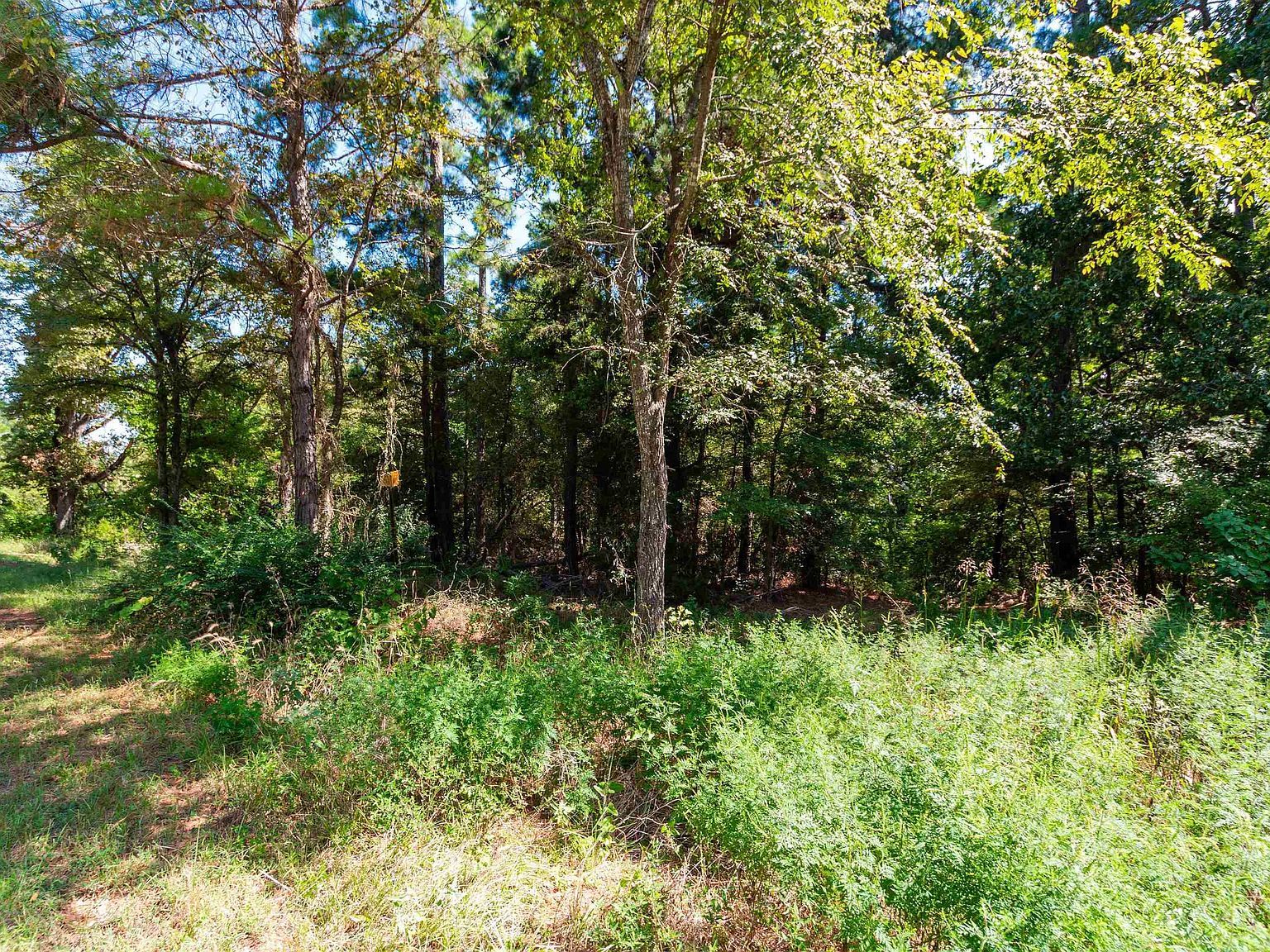 13234 Mountainview Rd S Winona, TX 75792 - Thumbnail 3