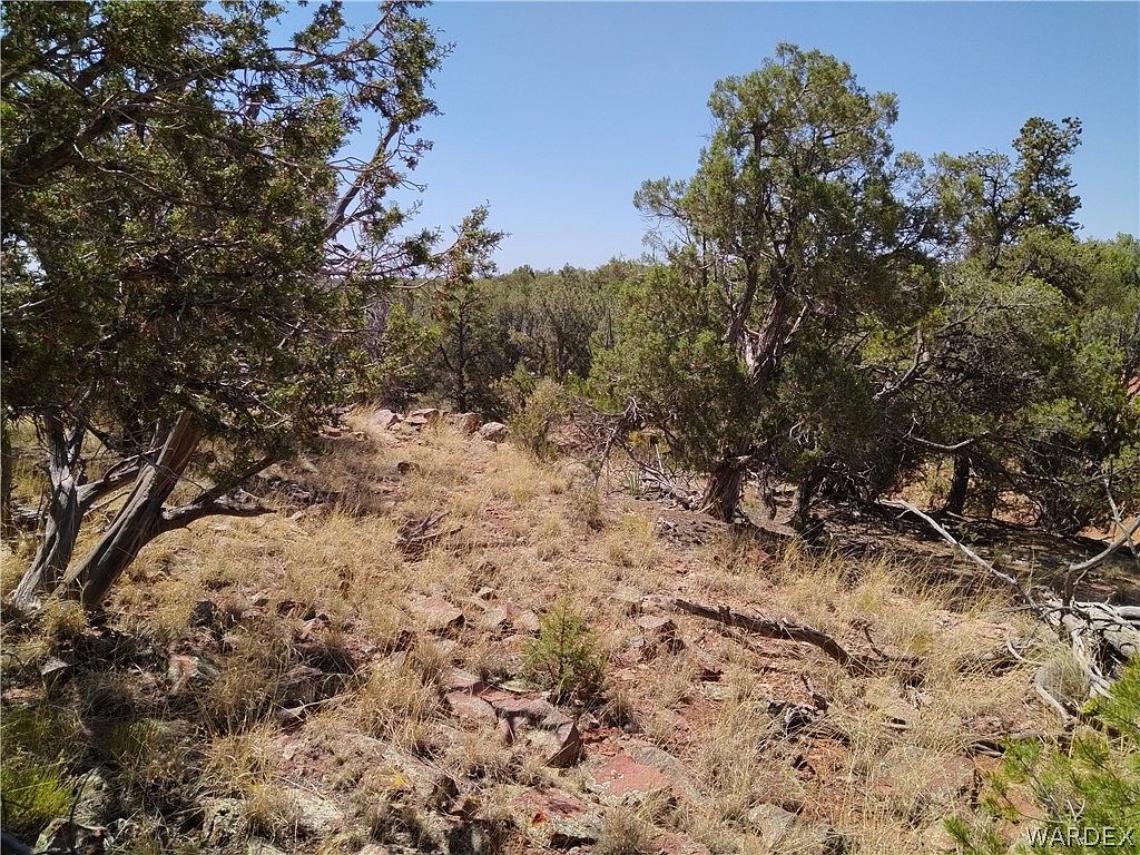 147 W Antelope Run Rd Seligman, AZ 86337 - Thumbnail 3