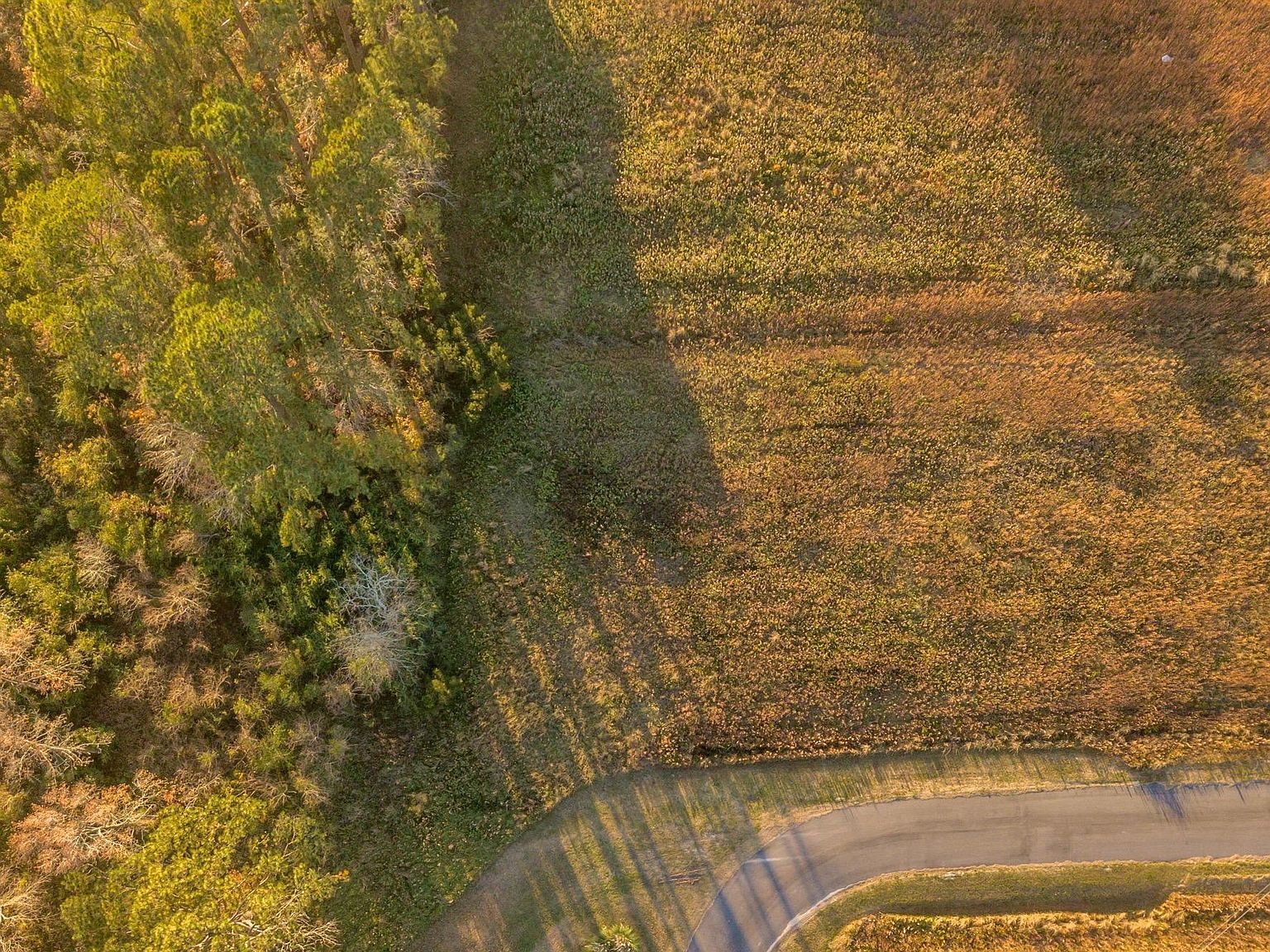 5 Foy Ln Bath, NC 27808 - Thumbnail 3