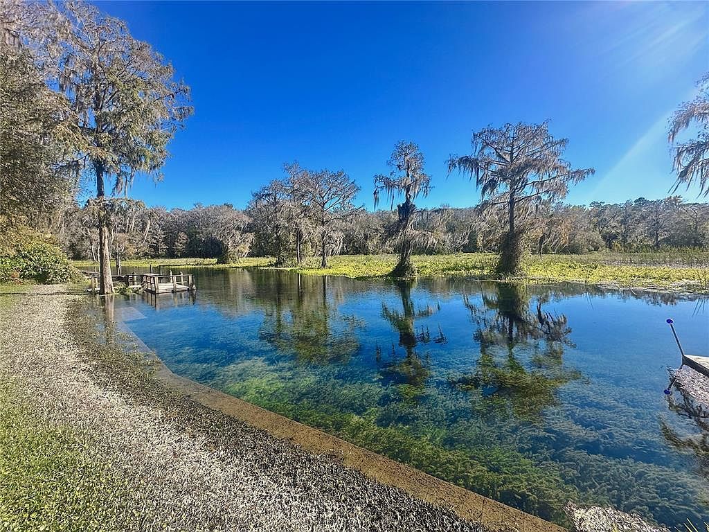 12139 Palmetto Way Dunnellon, FL 34432 - Thumbnail 3