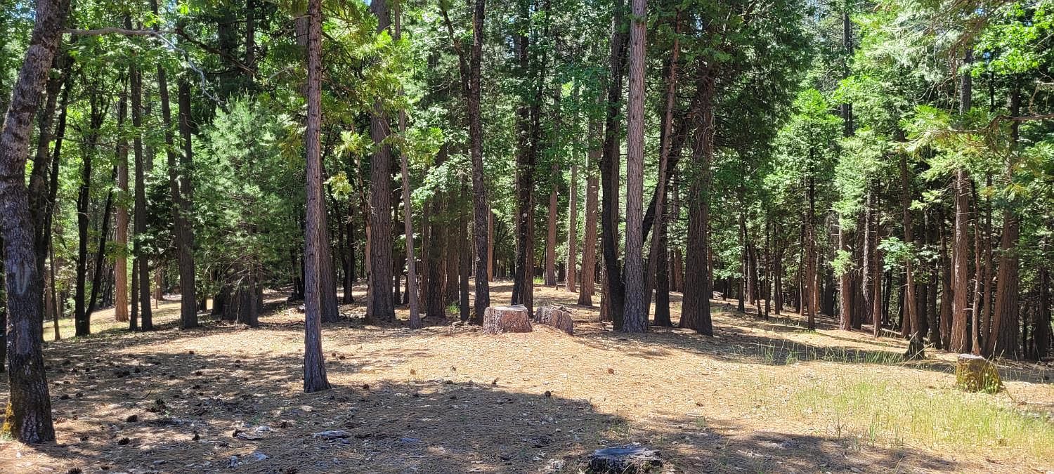 4790 Sierra Springs Dr Pollock Pines, CA 95726 - Thumbnail 3