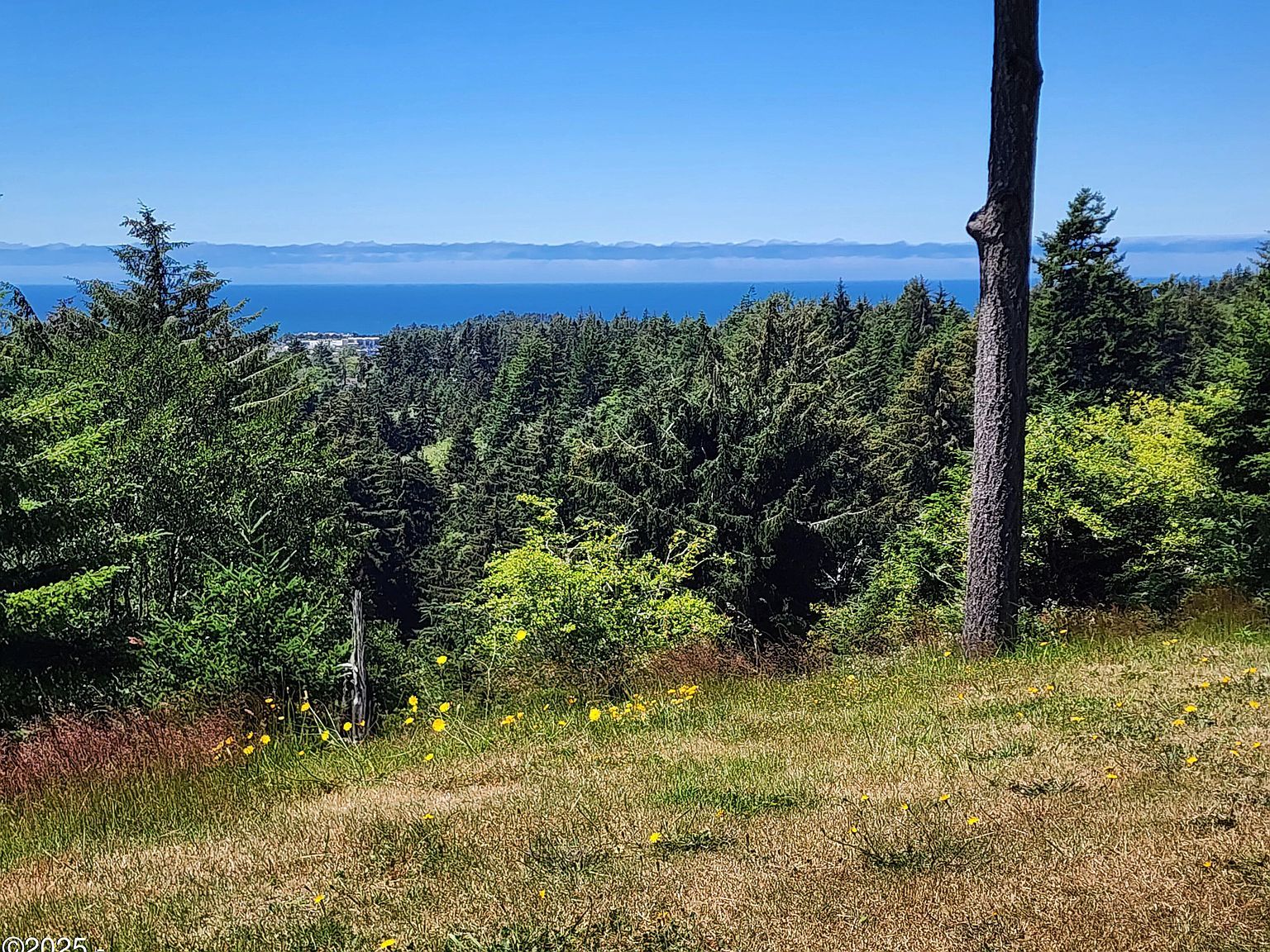 671 NE Newport Heights Dr Newport, OR 97365 - Thumbnail 3