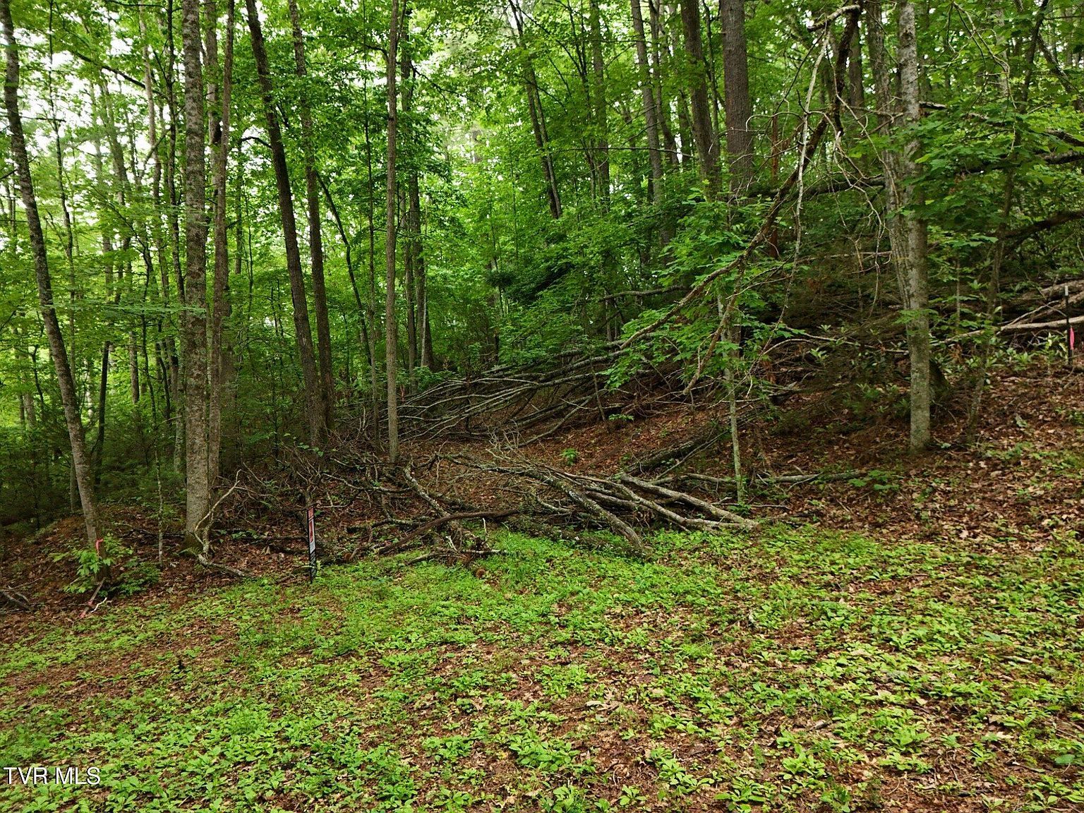 Willow Ln Greeneville, TN 37743 - Thumbnail 3