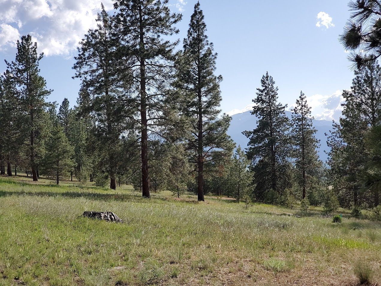 4784 Cameron Rose Ln Stevensville, MT 59870 - Thumbnail 3