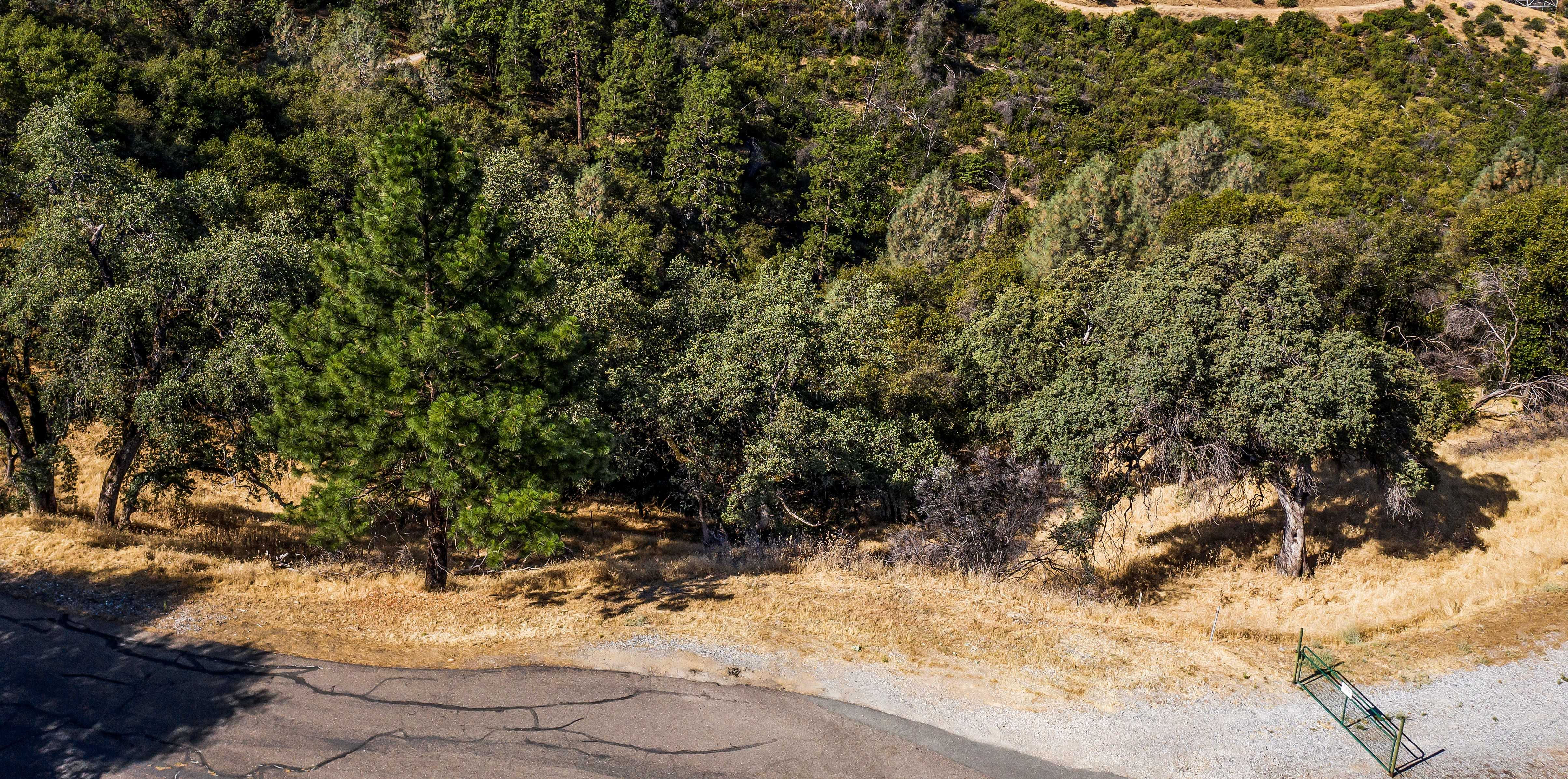 765 Montgomery Dr, Mokelumne Hill, CA, USA, 95245 - Thumbnail 3