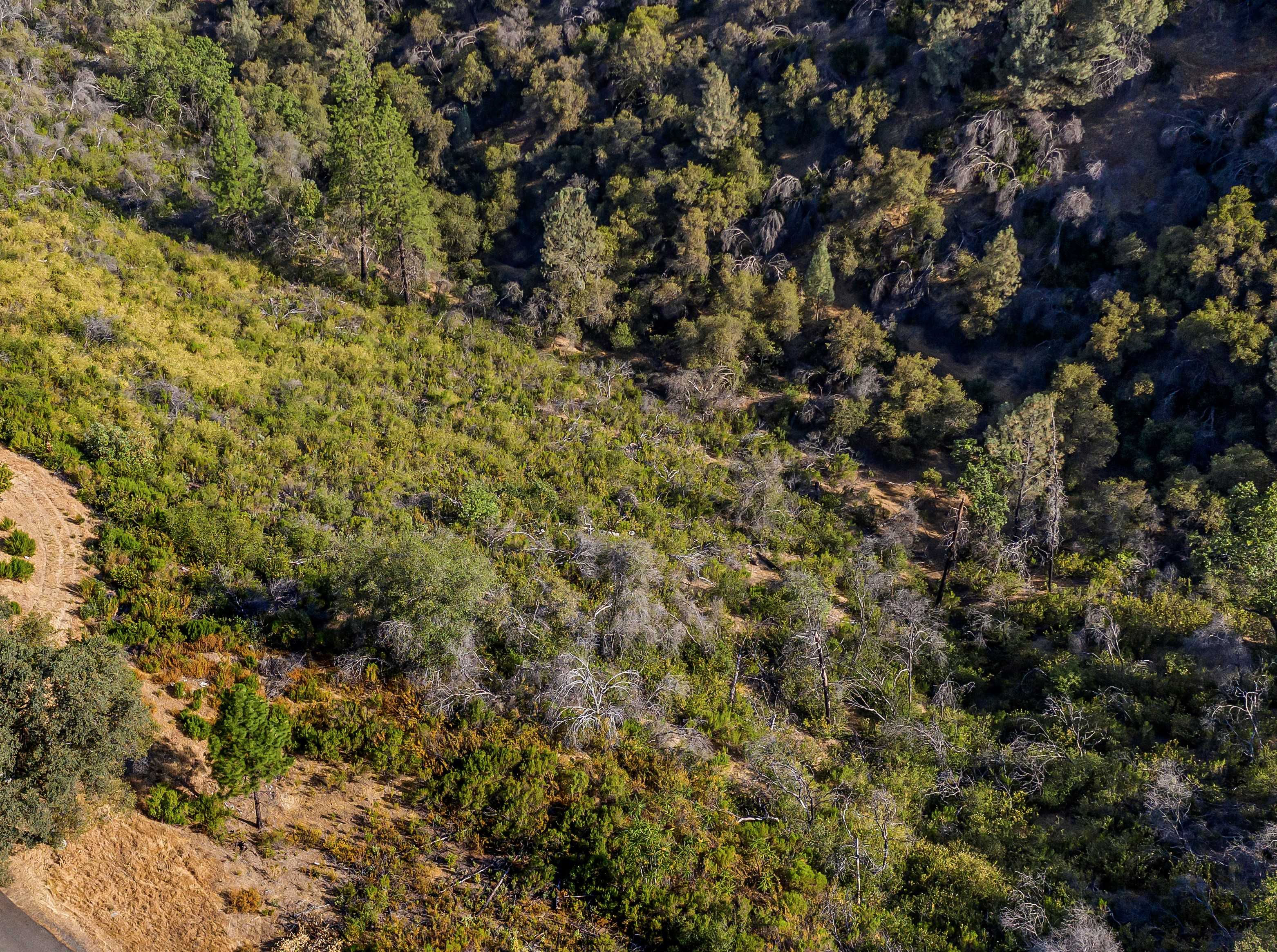 690 Ian Ct, Mokelumne Hill, CA, USA, 95245 - Thumbnail 3