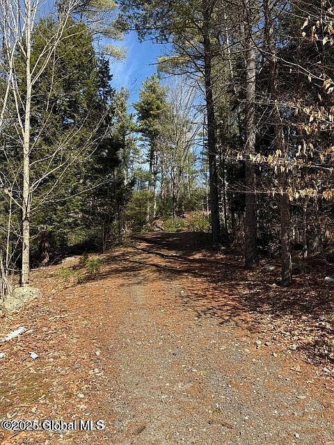 61 Snowshoe Rdg Chestertown, NY 12817 - Thumbnail 3