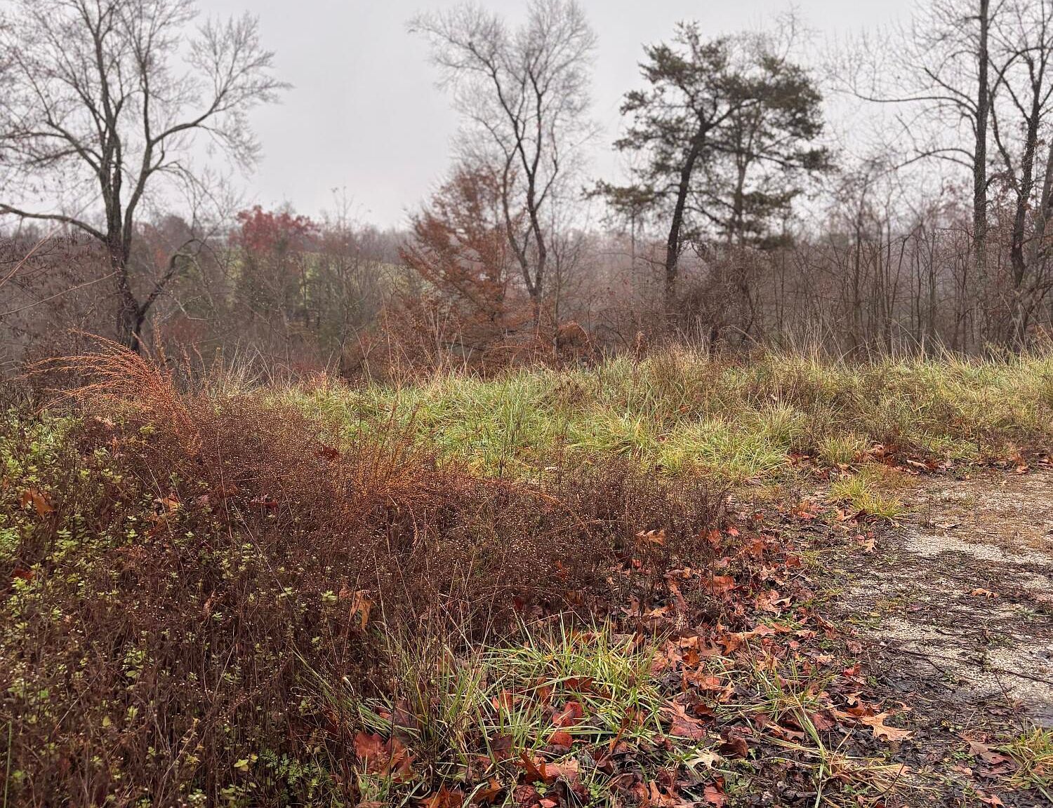 64 Becky Jane Rd Frenchburg, KY 40322 - Thumbnail 3