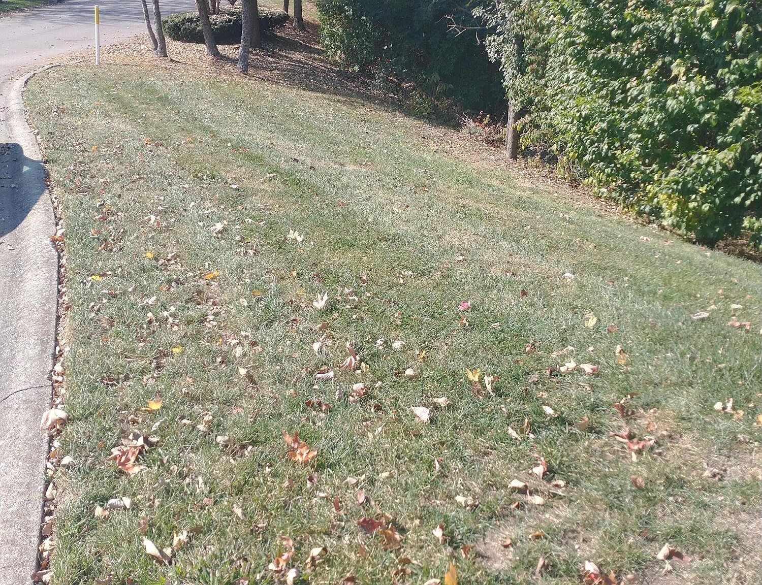 102 Augusta Dr Winchester, KY 40391 - Thumbnail 3