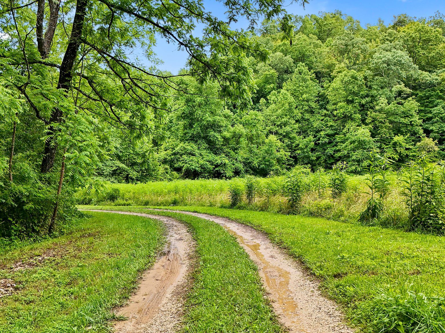 1235 Greenbrier Branch Rd Campton, KY 41301 - Thumbnail 3