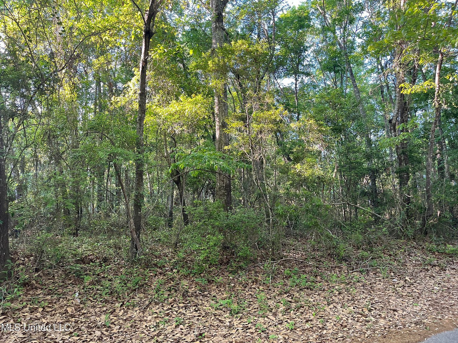 Lots 36 37 Honduras Dr Gautier, MS 39553 - Thumbnail 3