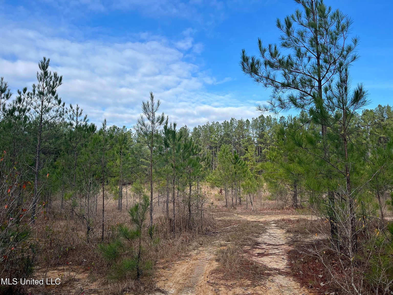 40 Acres Dr Perkinston, MS 39573 - Thumbnail 3