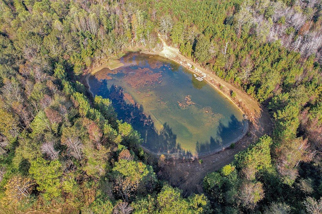 0 County Road 127 Banks, AL 36005 - Thumbnail 3