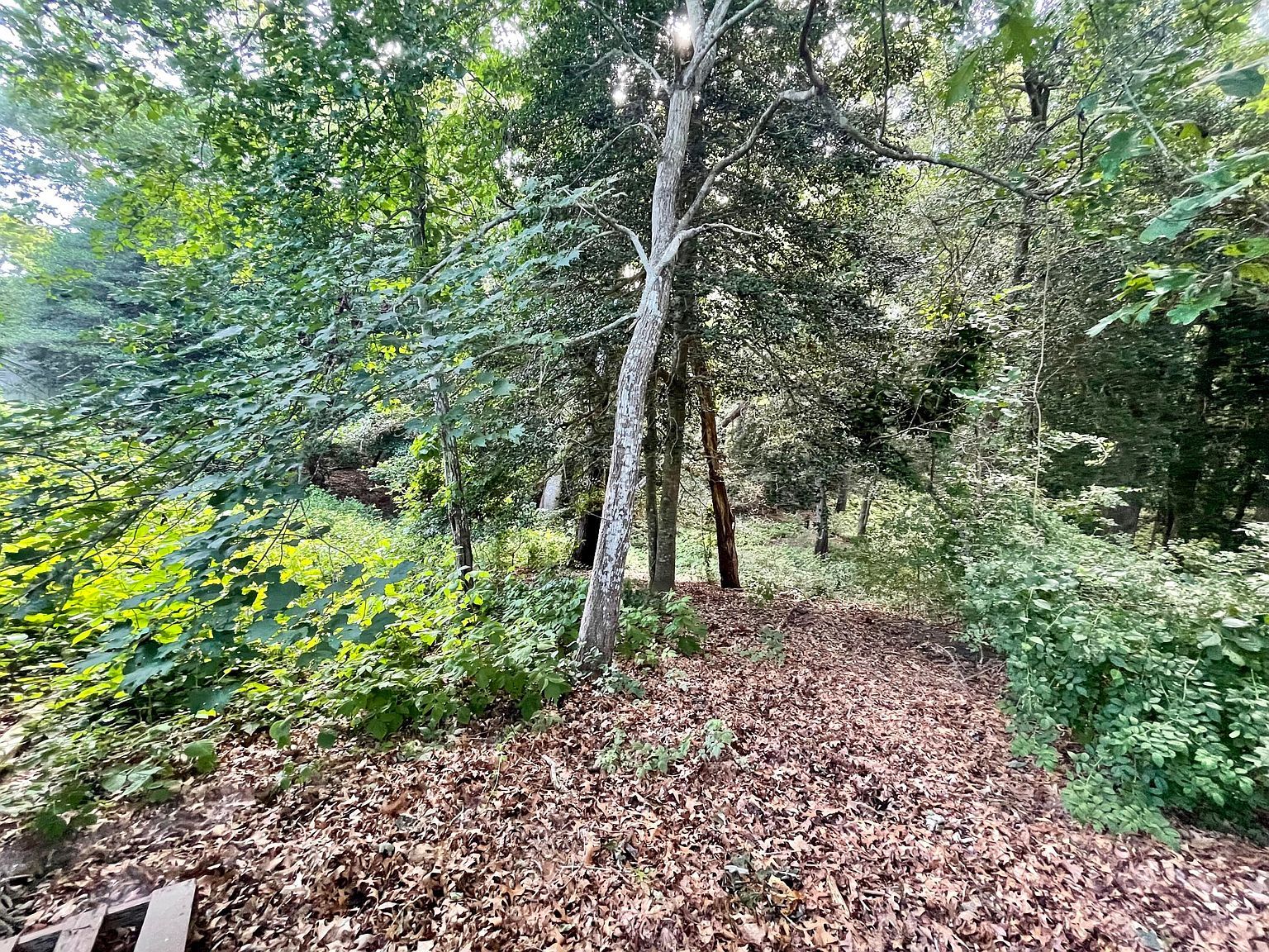 123 Old Post Rd Centerville, MA 02632 - Thumbnail 3