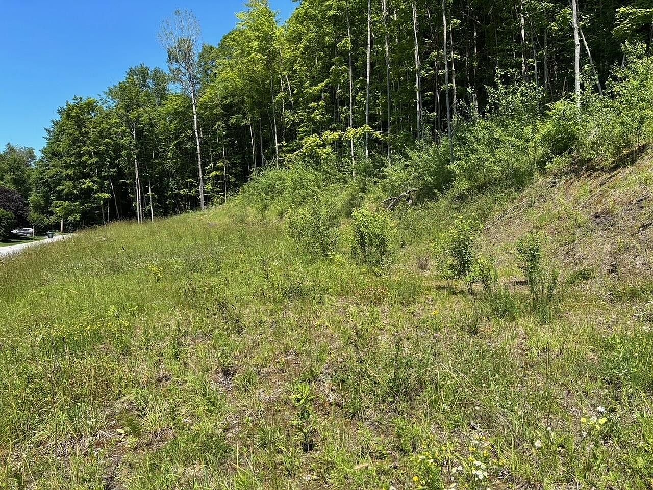 0 Maplewood Ave #9 Barre, VT 05641 - Thumbnail 3