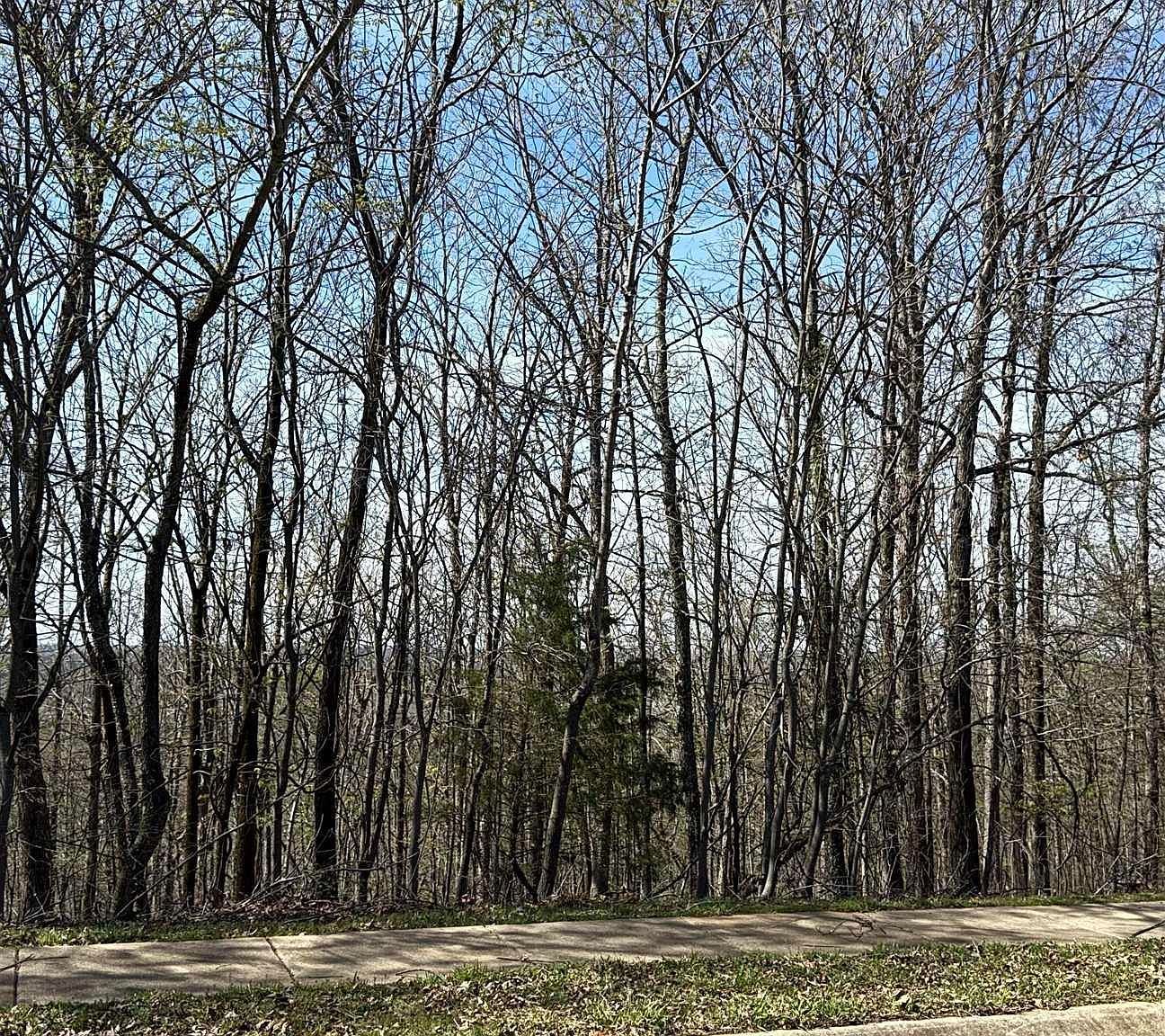 26 Mountain Vista Dr Alexander, AR 72002  | Land/Lot