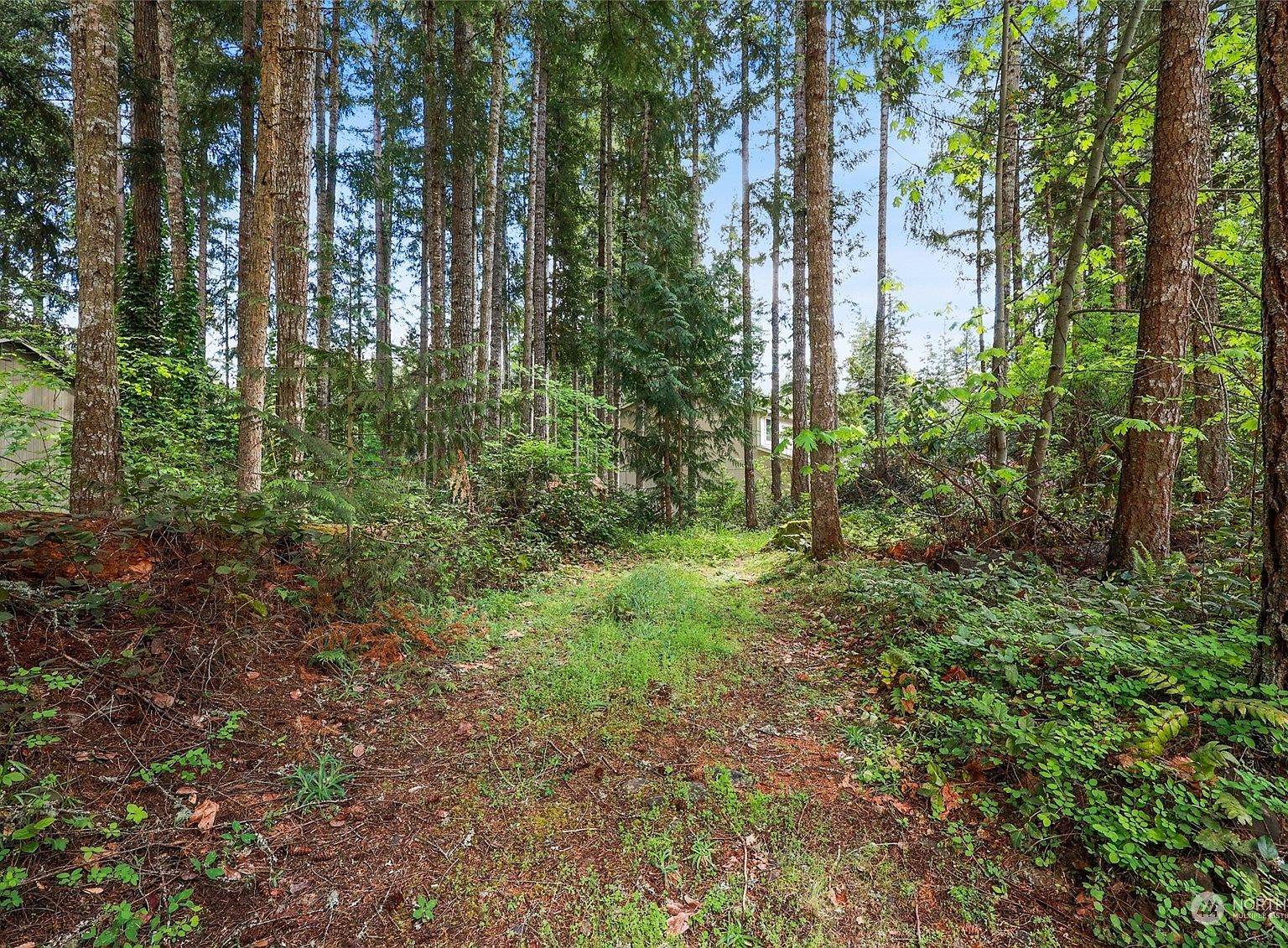 22206 Bluewater Dr SE Yelm, WA 98597 - Thumbnail 3