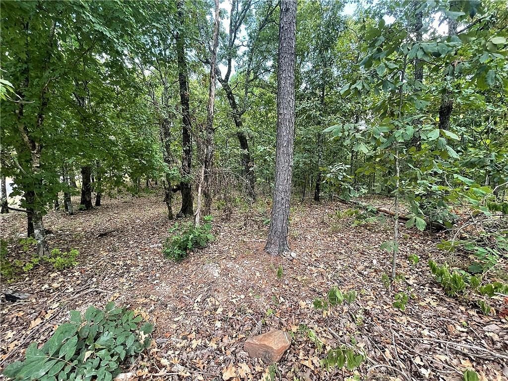686 Woodland Hills Trl LOT 25 Broken Bow, OK 74728 - Thumbnail 3